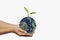 Hand hold earth and small tree, concept in save world, Energy and environment conservation