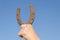 Hand hold horseshoe symbol of luck on blue sky