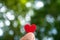 Hand hold little heart meaning feel love with green nature bokeh