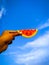 A hand hold a piece of watermelon isolate on blue sky background.