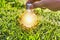 hand holdging light bulb on grass with solar energy. power eco c