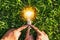 hand holdging light bulb on grass with solar energy. power eco c