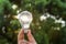 hand holdging light bulb with solar energy. power eco