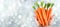 Hand holding assorted carrots with blurred background, ideal for text placement and selection