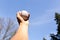 Hand holding baseball against blue clean sky with tree.