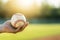 Hand Holding a Baseball in Sunlit Field