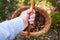 Hand holding a basket with wild edible mushrooms in the forest