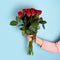 Hand holding Beautiful big bouquet of red roses light blue background. Trendy Banner for Valentines Day, International