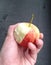 Hand holding biten red apple, healthy fruit concept