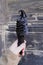 Hand holding black soft serve ice cream cone made with activated charcoal