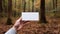 hand holding blank white card against orange autumn rainforest background