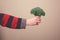 Hand holding broccoli