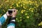 Hand holding a camera photographing the cosmos caudatus flower garden