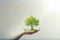 Hand holding coins and tree look like as planting on greenery background and sunlight for planting. Growth saving and investment