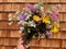 Hand holding colorful bunch of alpine flowers against shingles.