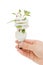 Hand holding compact fluorescent lamp