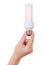 Hand holding compact fluorescent light bulb