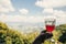 Hand holding cranberry juice in glass cup on background view of