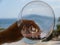 A hand holding a cristal glass of red wine in front of a mediterranean sea at