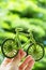 Hand Holding Eco bicycle icon