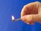 A hand holding a fired matchstick
