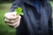 Hand holding four-leaf clover