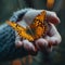 Hand holding a fragile butterfly depicting delicacy