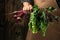 Hand holding fresh beetroot. Healthy vegan vegetable food. banner, menu, recipe place for text