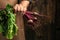 Hand holding fresh beetroot. Healthy vegan vegetable food. banner, menu, recipe place for text