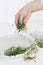 Hand holding fresh flax sprouts on background of modern plate, spoon, scissors on white wood