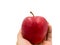 Hand holding fresh red apple that represent fruit for diet and good health care concept, isolated on white background