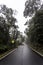 Hand holding gaming controller engrossed in gaming background in grey, blue and orangeLone country road path leading to nowhere wi