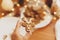 Hand holding gingerbread reindeer cookie with icing at table with festive lights. Christmas