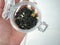 A hand holding glass jar of deluxe jasmine tea leaf blend flavor with jasmine flowers, SPECTACULAR FLAVOURS, FRAGRANCES, organic,