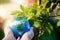 hand holding globe lush green leaves in background