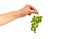 Hand holding a green grape isolated