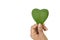 Hand holding green heart, eco sustainable living, healthy wellness, ESG, CSR social responsibility, biofuel renewable energy