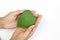 Hand holding green heart, eco sustainable living, healthy wellness, ESG, CSR social responsibility, biofuel renewable energy