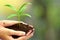 Hand holding green plant in soil over blur abstract nature ,