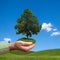 Hand holding green tree over green landscape. Environmental conservation concept