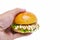 hand holding hamburger ( banh mi kep thit ) to give someone isolated on white