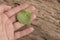 Hand holding heart shaped grape leaf over wooden background