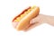 Hand holding hot dog with mustard isolated on white background. Ð¡lipping path