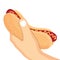 Hand holding hotdog vector fast food design .
