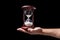 Hand holding hourglass over black background