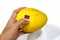 Hand holding an Indian Mango on Isolated White Background with focus on the purple label Selected Indian Mango