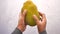 hand holding a jackfruit top view
