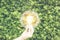 Hand holding the light bulb against the green leave wall wiht fake sunlight on wire globe frame in ecology environment saving conc