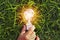 hand holding light bulb on grass. eco concept power energy in na