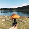 Hand Holding little Fresh Forest Mushroom in the nature